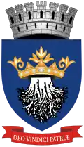 Blason de Brassó