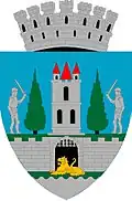 Blason de Satu Mare