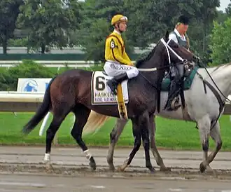 Image illustrative de l’article Rachel Alexandra