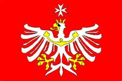 Drapeau de Radomyšl
