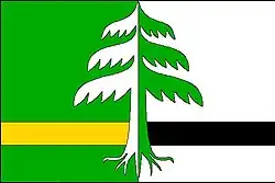 Drapeau de Radvanice