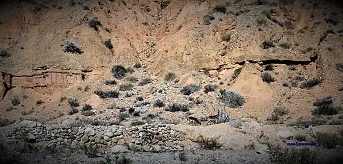 … et les chèvres qui y vivent