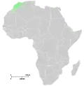 Afrique