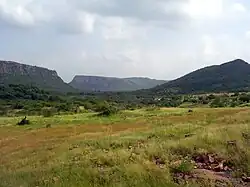 Le parc national de Ranthambore est une des réserves les plus fréquentées d'Inde du Nord.