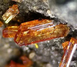 Image illustrative de l’article Raspite