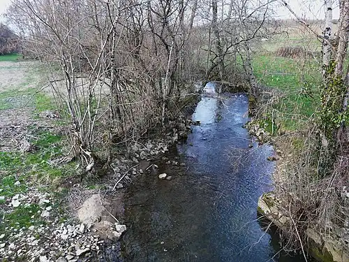 Le Ravillou au pont de la RD 705, en limite de Coulaures (à gauche) et de Saint-Pantaly-d'Excideuil.