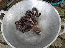 Animaux prêts à cuire