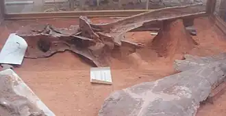 Description de cette image, également commentée ci-après