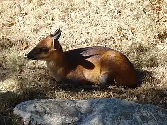 Description de cette image, également commentée ci-après