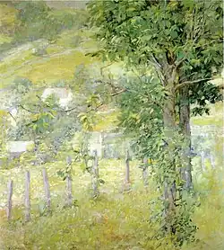 Hillside in Summer.