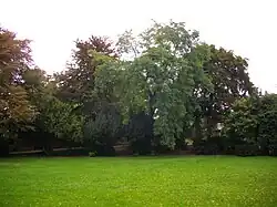 Arboretum chaussée Bocquaine.