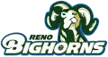 Bighorns de Reno (2008 à 2017)
