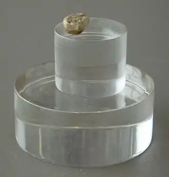 Image illustrative de l’article Enfant d'Orce