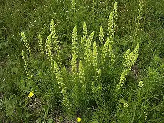 Description de cette image, également commentée ci-après