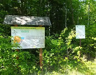 Miodne-Leśniczówka