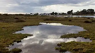 Île de Kerner : vue du marais dans la partie nord de l'île.