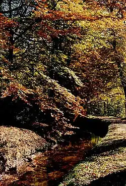 La rigole de la montagne.