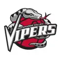 Logo du Vipers de Rio Grande Valley