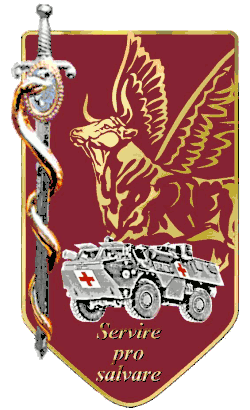 Image illustrative de l’article Régiment médical