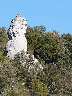 Roche de calcaire dolomitique.