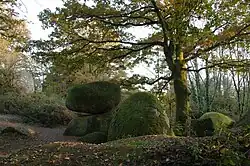 "Boule" de granite posée sur une masse de granite affleurante, à l'ombre d'un chêne jauni par l'automne.