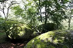 Deuxième vue d'ensemble