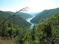 photographie couleurs : une rivière dans un paysage de forêt
