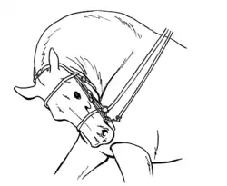 Dessin en noir et blanc représentant un cheval le nez dans le poitrail, la tête tordue de façon excessive vers la gauche, l'encolure courbée.