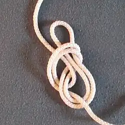 et revient se nouer dans le nœud de base.