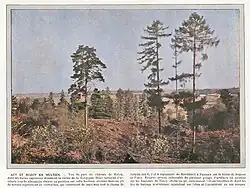 Rosoy, Bois de Chaumont (parc du château) où étaient installées des pièces d'artillerie lourde allemandes.