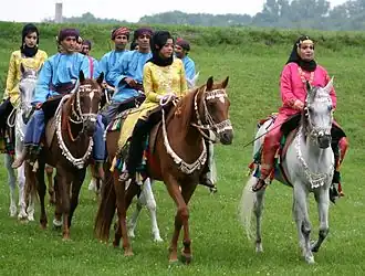 Image illustrative de l’article Cheval à Oman