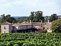Vue d'ensemble du château de Vaure (août&nbsp;2012)