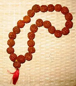 Le Rudraksha hindou ou plutôt shivaïte.
