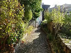 Une ruelle pavée et avec végétation