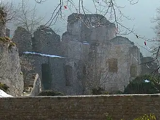 Image illustrative de l’article Château du Morimont
