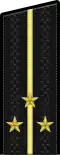 Lieutenant principal