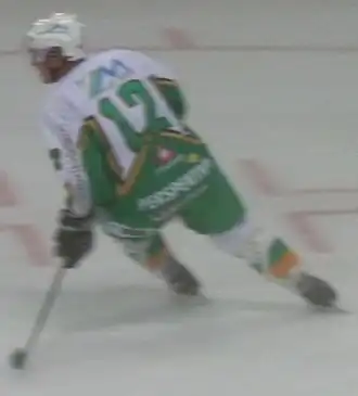 Photographie couleur de Jardine