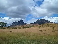 Savane ouverte, Guarico