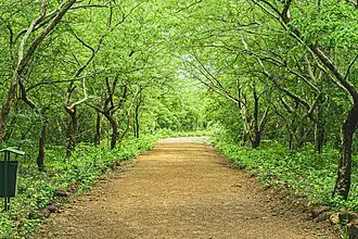 Sentier pédestre à Bangr Woego