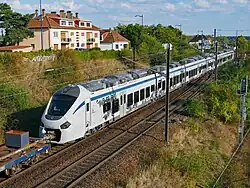 Rame ZZe algérienne (en essai)