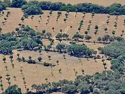 Talayot de Sa Cova des Xot