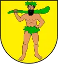 Blason de Saas