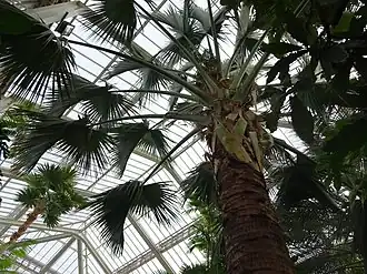 Description de cette image, également commentée ci-après