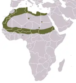 Carte d'Afrique avec anneau coloré autour du Sahara, plus quelques taches éparses