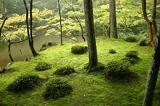 Le jardin de mousse Saihō-ji est à la fois un lieu spécial de beauté pittoresque et un site historique.