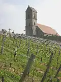 L'église avec son clocher en bâtière et le vignoble.