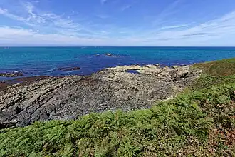 Les rochers à l'est de la plage de Plougasnou-Saint-Jean-du-Doigt.