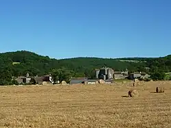 Vue d'ensemble du village et du château