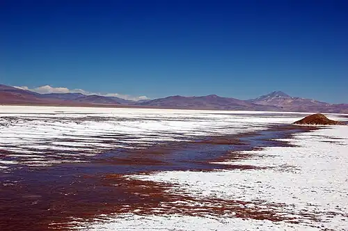 Salar Maricunga.