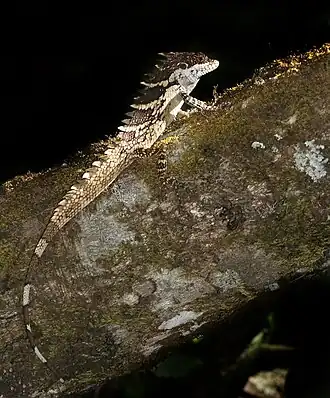 Description de cette image, également commentée ci-après